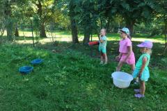 PHOTO-2025-07-02-13-59-58-1