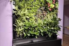 437242b7-2ee4-48f1-b542-5263d3e76232