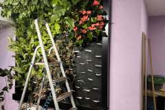 659b8172-35e7-4d2d-b699-0d4f1d3a932d